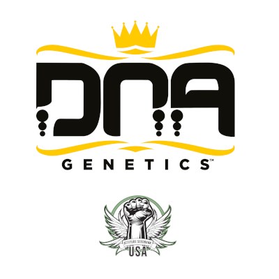 DNA Genetics Seeds The Stinking Rose