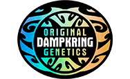 Original Dampkring Genetics Seeds