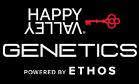 Happy Valley Genetics Seeds