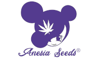 Anesia Seeds