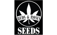 Buds and Roses Seeds