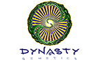 Dynasty Genetics Seeds