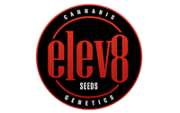 Elev8 Seeds