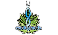 Exotic Genetix Seeds