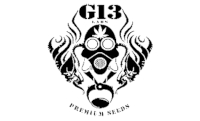 G13 Labs Seeds