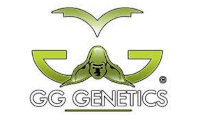 GG Genetics Seeds