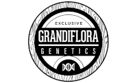 Grandiflora Genetics