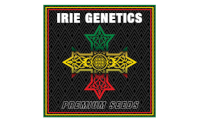 Irie Genetics Seeds