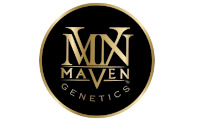Maven Genetics Seeds