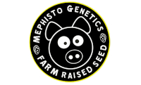 Mephisto Genetics Seeds