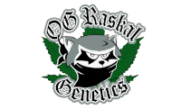 OG Raskal Seeds