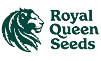 Royal Queen Seeds