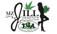 TGA Mz Jill Genetics Seeds