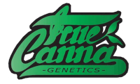 True Canna Genetics Seeds