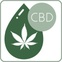 CBD Seeds