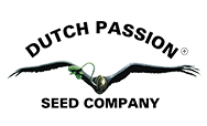 Dutch Passion Seeds