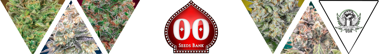 00 Seeds