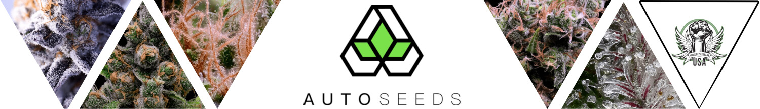 Auto Seeds