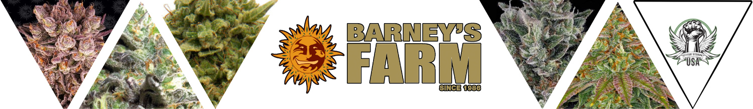 Barney's Farm Seeds