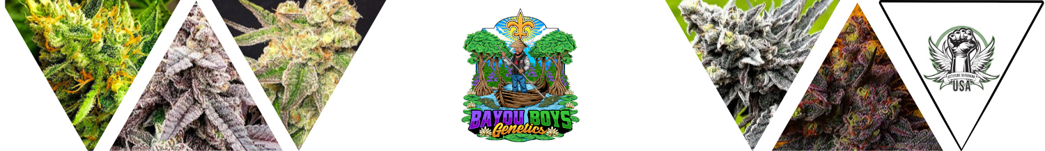 Bayou Boys Genetics Seeds