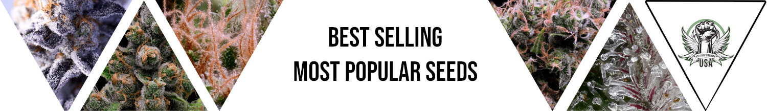 Best Selling / Popular Seeds