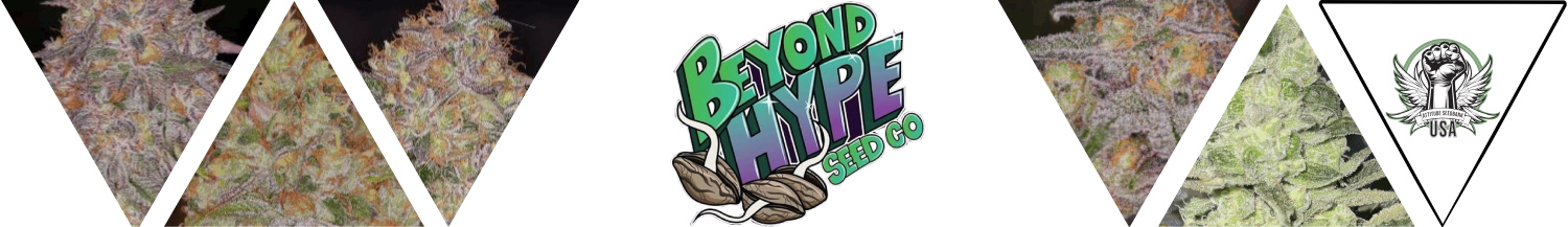 Beyond Hype Seed Co Seeds