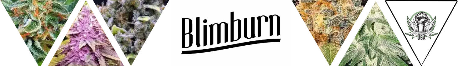 Blimburn Seeds