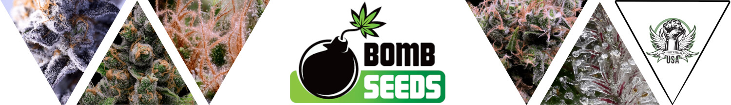 Bomb Seeds