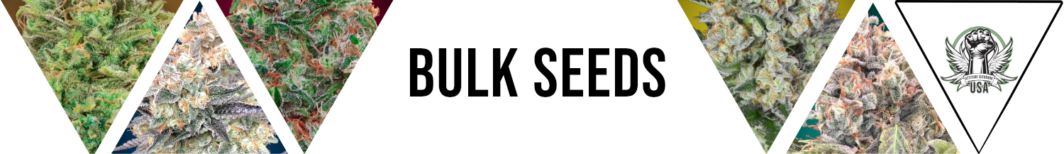 Bulk Seeds