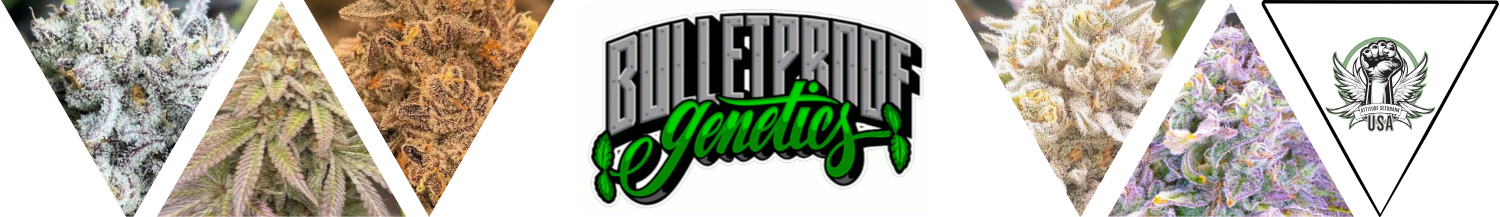 Bulletproof Genetics Seeds 