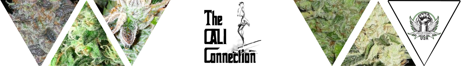 Cali Connection Apparel