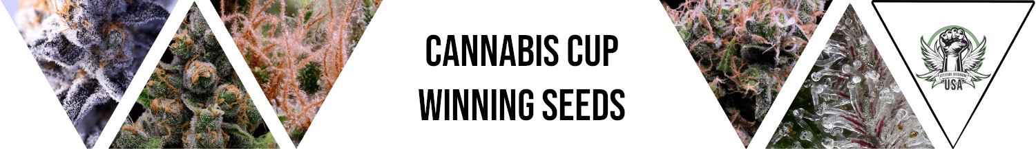 Cannabis Cup Winning Seeds