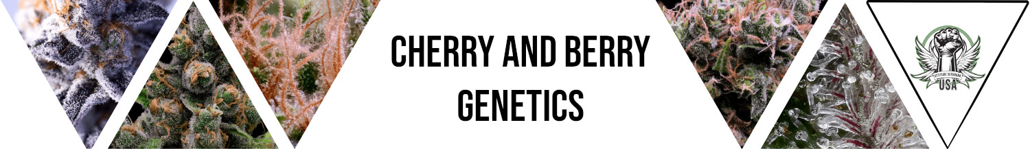 Cherry / Berry Genetics