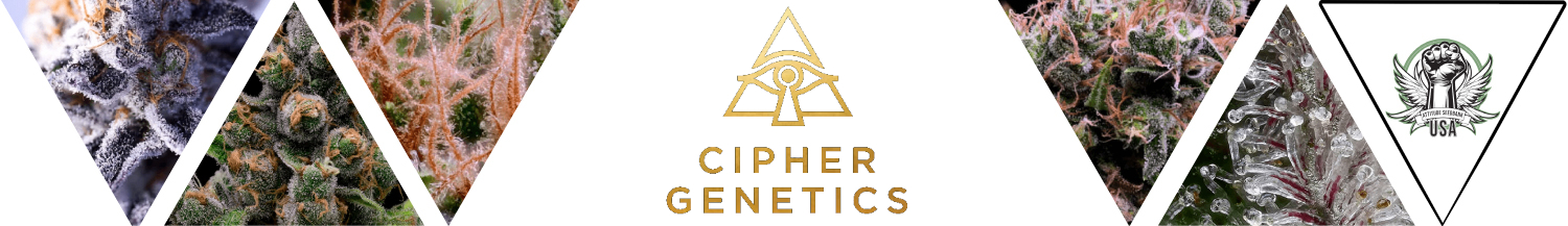 Cipher Genetics Seeds
