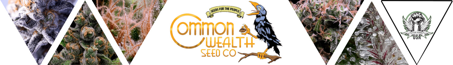 Common Wealth Seed Co