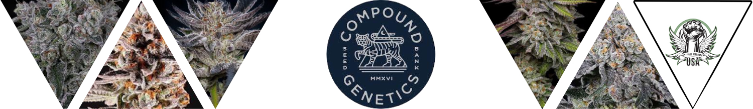 Compound Genetics Seeds