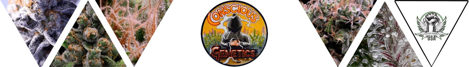 Conscious Genetics Seeds