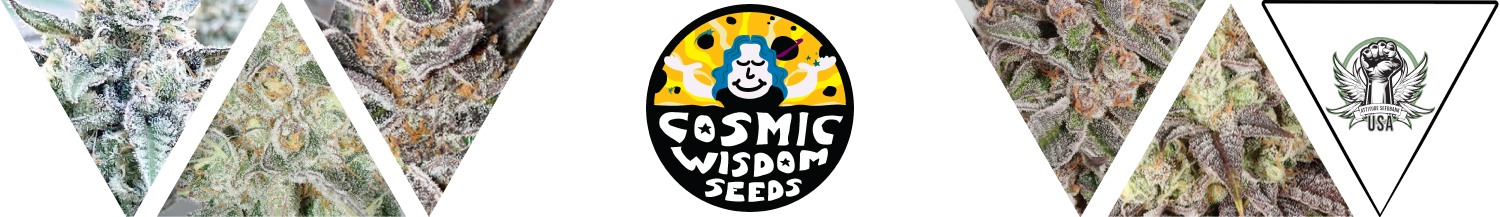 Cosmic Wisdom Seeds