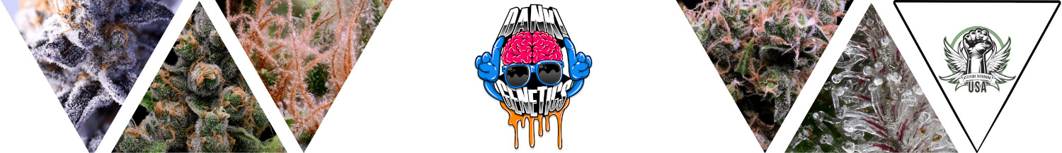 Dank Genetics Seeds