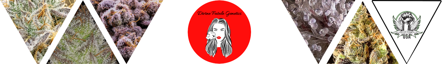 Divine Fatale Genetics
