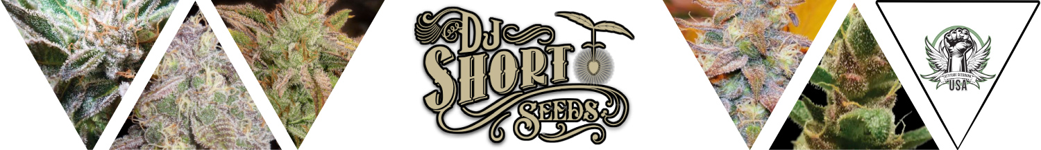 DJ Short Seeds