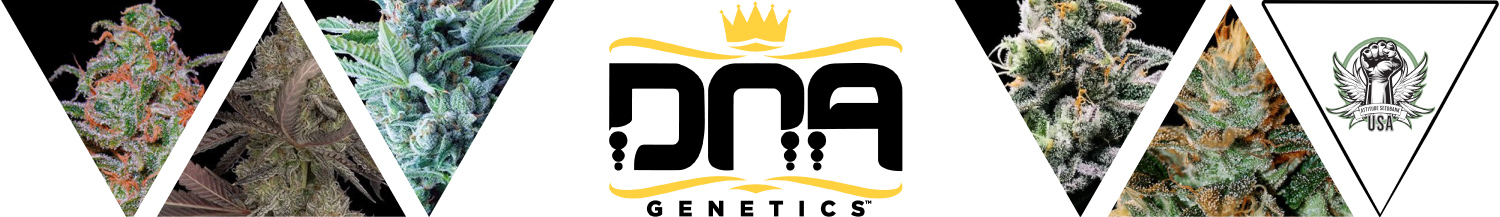 DNA Genetics Seeds