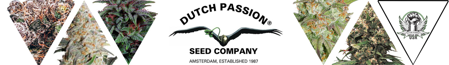 Dutch Passion Seeds