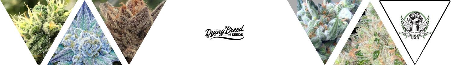 Dying Breed Seeds