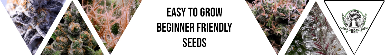 Easy to Grow / Beginner Seeds