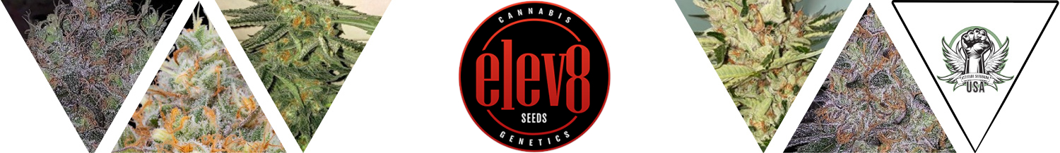 Elev8 Seeds