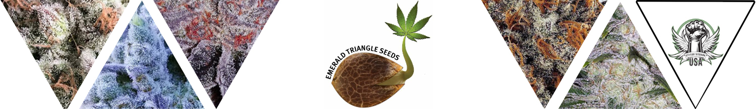 Emerald Triangle Seeds