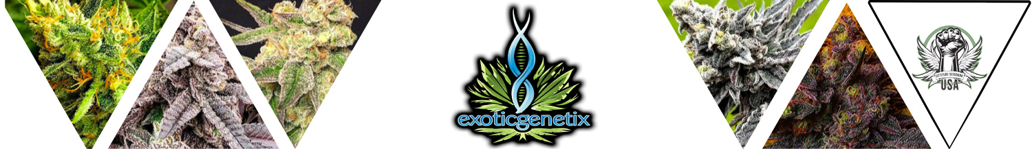 Exotic Genetix Seeds