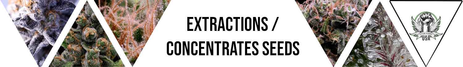 Extractions / Concentrates Seeds