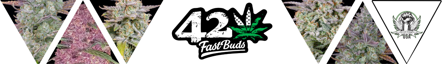 FastBuds Seeds